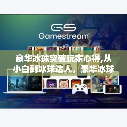 豪华冰球突破玩家心得,从小白到冰球达人，豪华冰球突破玩家的进阶之路与实战心得分享