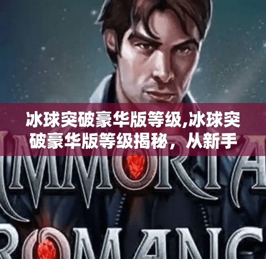 冰球突破豪华版等级,冰球突破豪华版等级揭秘，从新手到高手的进阶之路，你真的了解它吗？
